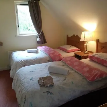 Chalet In Ireland
