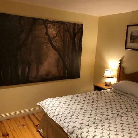 5 Bedroom In Forest Park Ireland 샬레 *